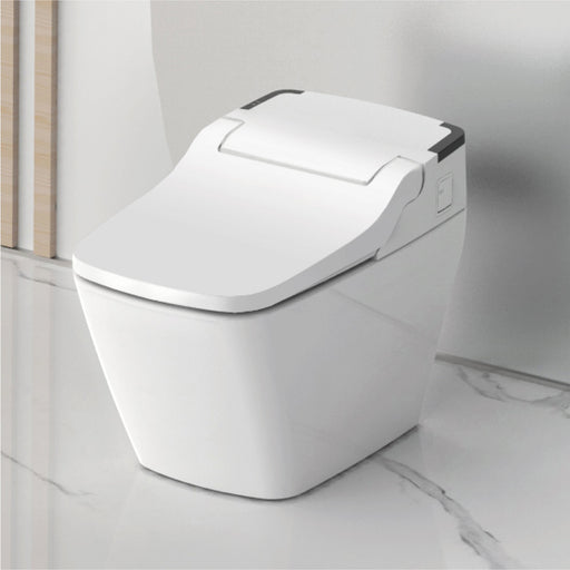 Vovo Integrated Smart Toilet with Auto Open/Close Bidet Seat and Auto Dual Flush TCB-090SA