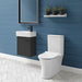 Swiss Madison Calice Two-Piece Elongated Rear Outlet Toilet Dual-Flush 0.8/1.28 gpf - SM-2T120