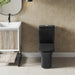 Swiss Madison Calice Two-Piece Elongated Rear Outlet Toilet Dual-Flush 0.8/1.28 gpf - SM-2T120