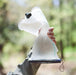 Sac à eau Naturehike TPU 1,5 l vue 7