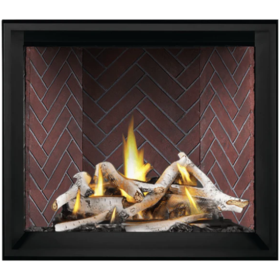 Napoleon Elevation™ X 42 Direct Vent Fireplace, Natural Gas, Electronic Ignition EX42NTEL