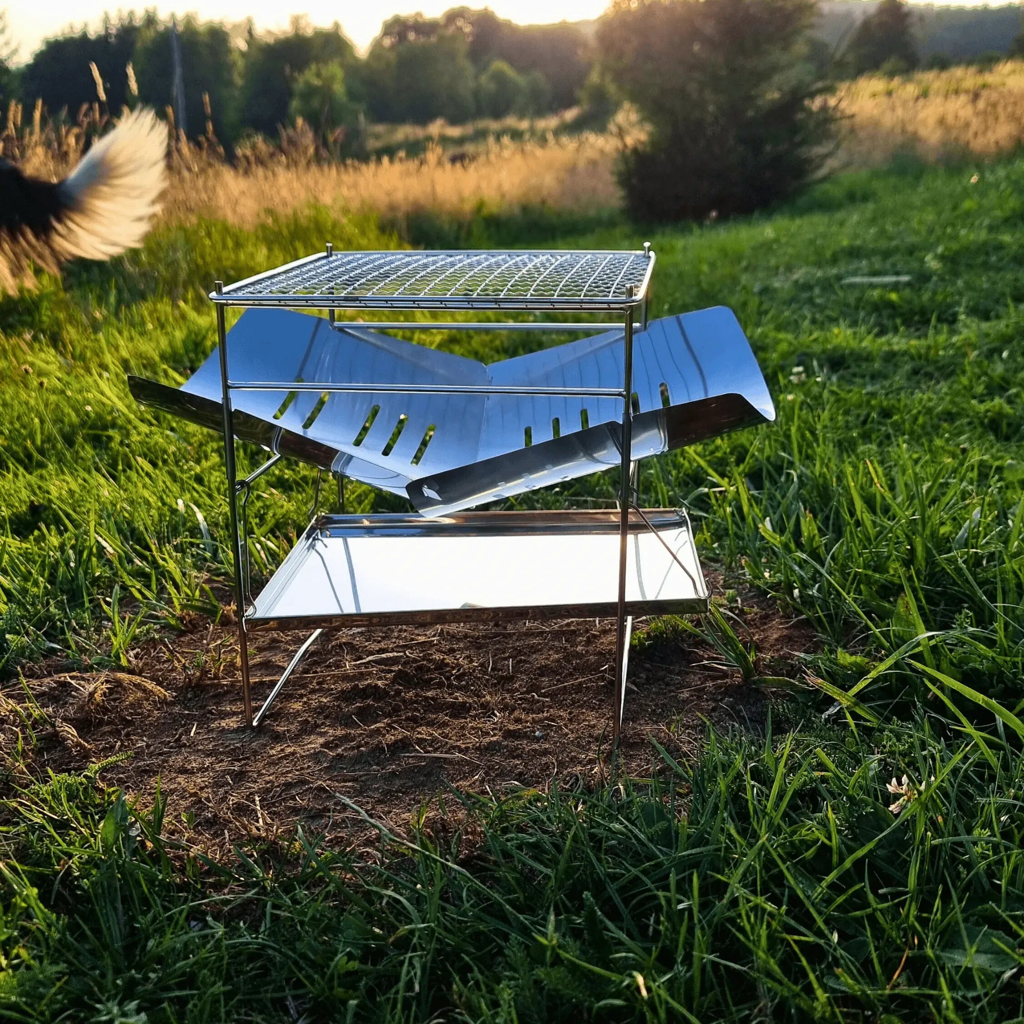 Camping Gril de Feu de Camp Pliant en acier inoxydable sur herbe avec fond boisé, idéal pour une cuisine en plein air facile à transporter.