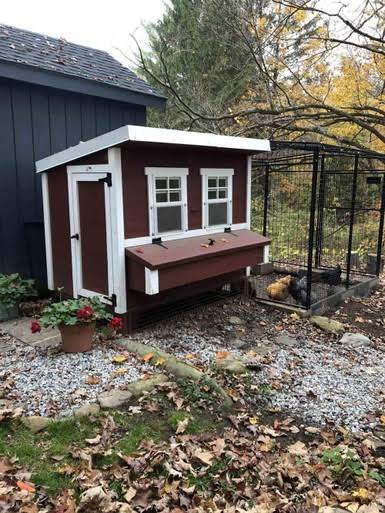 OverEZ Chicken Large Chicken Coop - Up to 15 Chickens