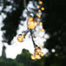 Des guirlandes lumineuses LED USB solaires suspendues en extérieur, créant une ambiance chaleureuse pour le camping en tente sur le toit.
