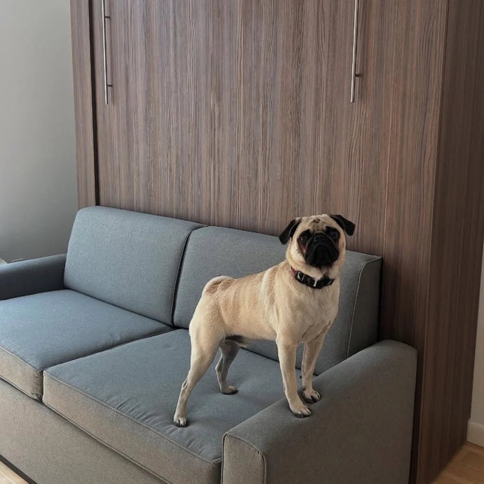 Queen Size Murphy Bed with Couch | Inovabed