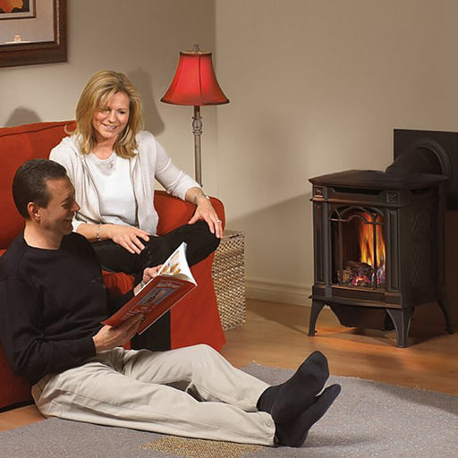 Napoleon Arlington™ Direct Vent Stove, Natural Gas, Electronic Ignition - Black GDS20NE