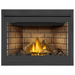 Napoleon Ascent 46 Direct Vent Electronic Ignition Natural Gas Fireplace - B46NTRE