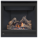 Napoleon 36'' Ascent Direct Vent Fireplace Electronic Ignition B36NTREA-1