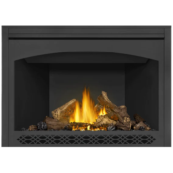 Napoleon 46'' Ascent Direct Vent Fireplace