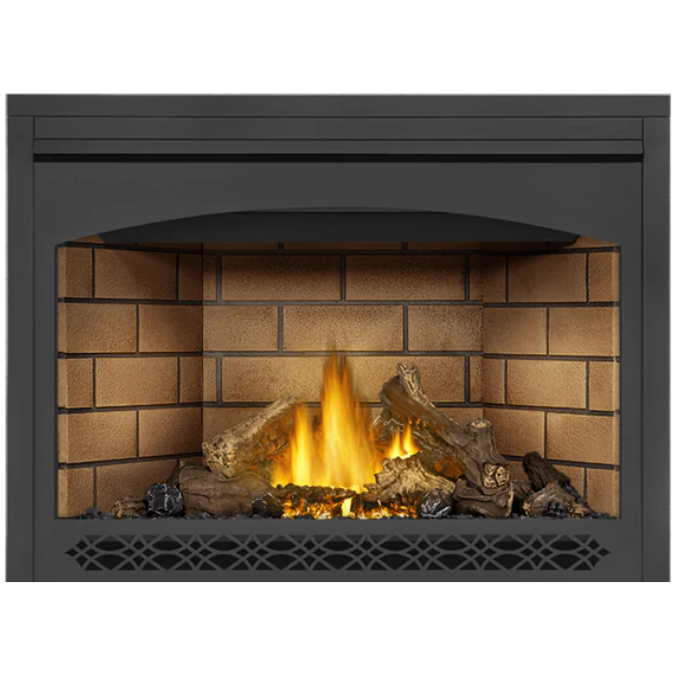 Napoleon 46'' Ascent Direct Vent Fireplace