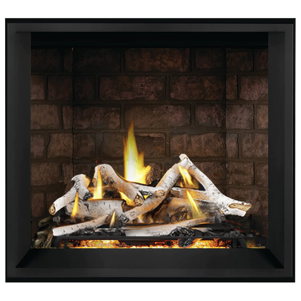 Napoleon 36'' Elevation X Direct Vent Fireplace