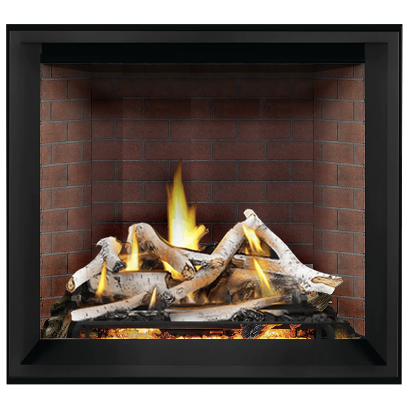 Napoleon 36'' Elevation X Direct Vent Fireplace