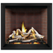 Napoleon 36'' Elevation X Direct Vent Fireplace