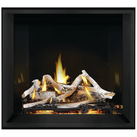 Napoleon 36'' Elevation X Direct Vent Fireplace