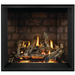 Napoleon 36'' Elevation X Direct Vent Fireplace