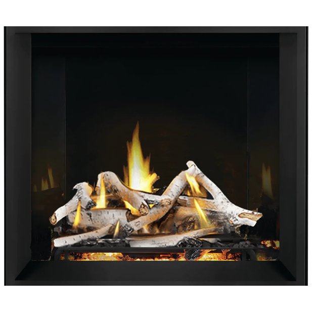 Napoleon 36'' Elevation X Direct Vent Fireplace
