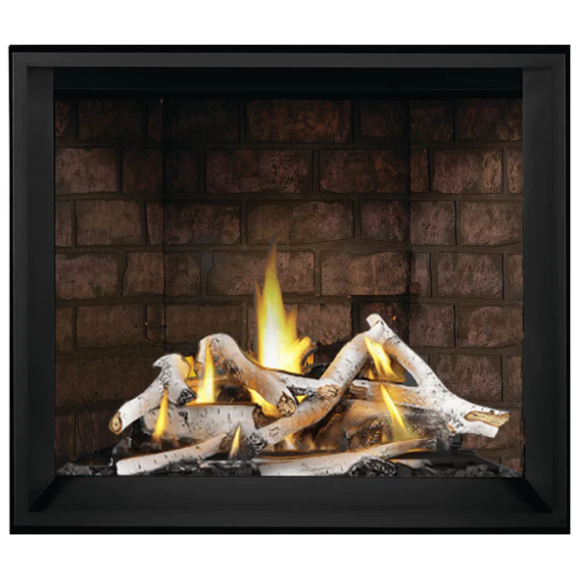 Napoleon Elevation™ X 42 Direct Vent Fireplace, Natural Gas, Electronic Ignition EX42NTEL