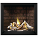 Napoleon Elevation™ X 42 Direct Vent Fireplace, Natural Gas, Electronic Ignition EX42NTEL
