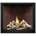 Napoleon Elevation™ X 42 Direct Vent Fireplace, Natural Gas, Electronic Ignition EX42NTEL