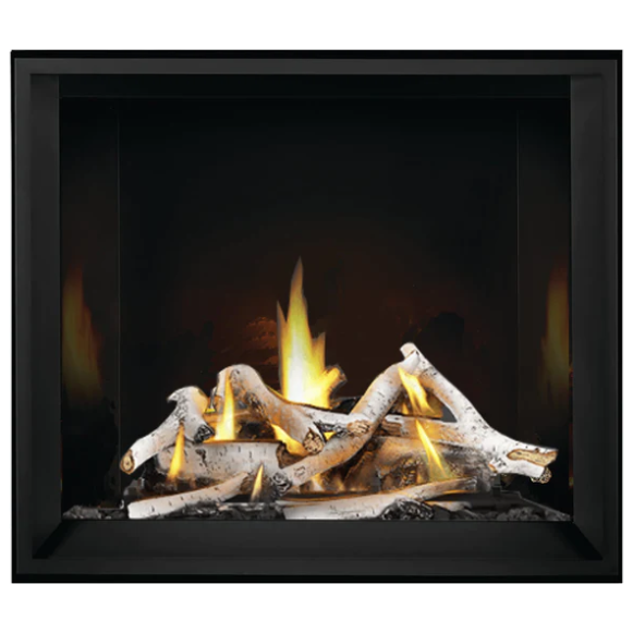 Napoleon Elevation™ X 42 Direct Vent Fireplace, Natural Gas, Electronic Ignition EX42NTEL