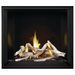 Napoleon Elevation™ X 42 Direct Vent Fireplace, Natural Gas, Electronic Ignition EX42NTEL