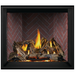 Napoleon Elevation™ X 42 Direct Vent Fireplace, Natural Gas, Electronic Ignition EX42NTEL