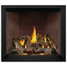 Napoleon Elevation™ X 42 Direct Vent Fireplace, Natural Gas, Electronic Ignition EX42NTEL