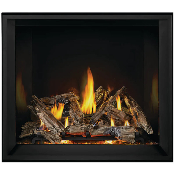 Napoleon Elevation™ X 42 Direct Vent Fireplace, Natural Gas, Electronic Ignition EX42NTEL