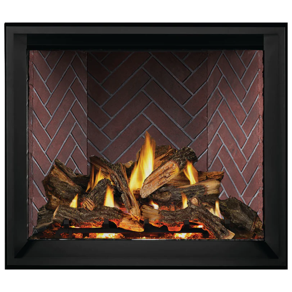 Napoleon Elevation™ X 42 Direct Vent Fireplace, Natural Gas, Electronic Ignition EX42NTEL