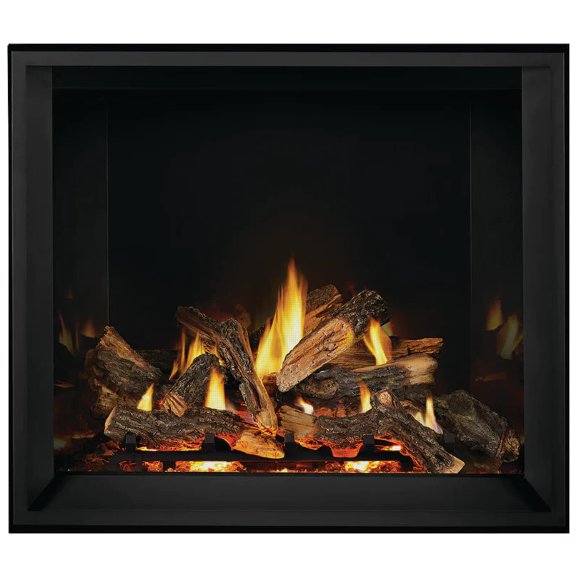 Napoleon Elevation™ X 42 Direct Vent Fireplace, Natural Gas, Electronic Ignition EX42NTEL