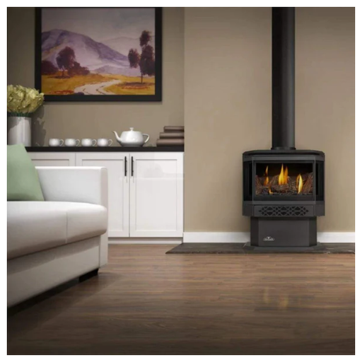 Napoleon Haliburton™ Direct Vent Gas Stove - Millivolt Ignition GDS28-1NSB