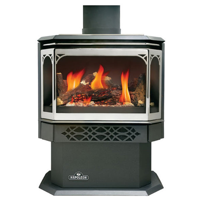 Napoleon Haliburton™ Direct Vent Gas Stove - Millivolt Ignition GDS28-1NSB