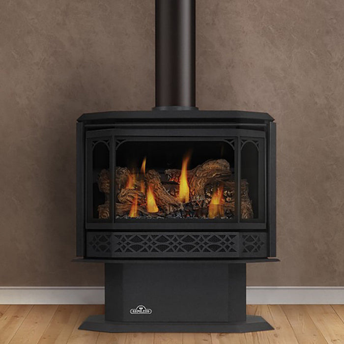 Napoleon Havelock™ Direct Vent Stove