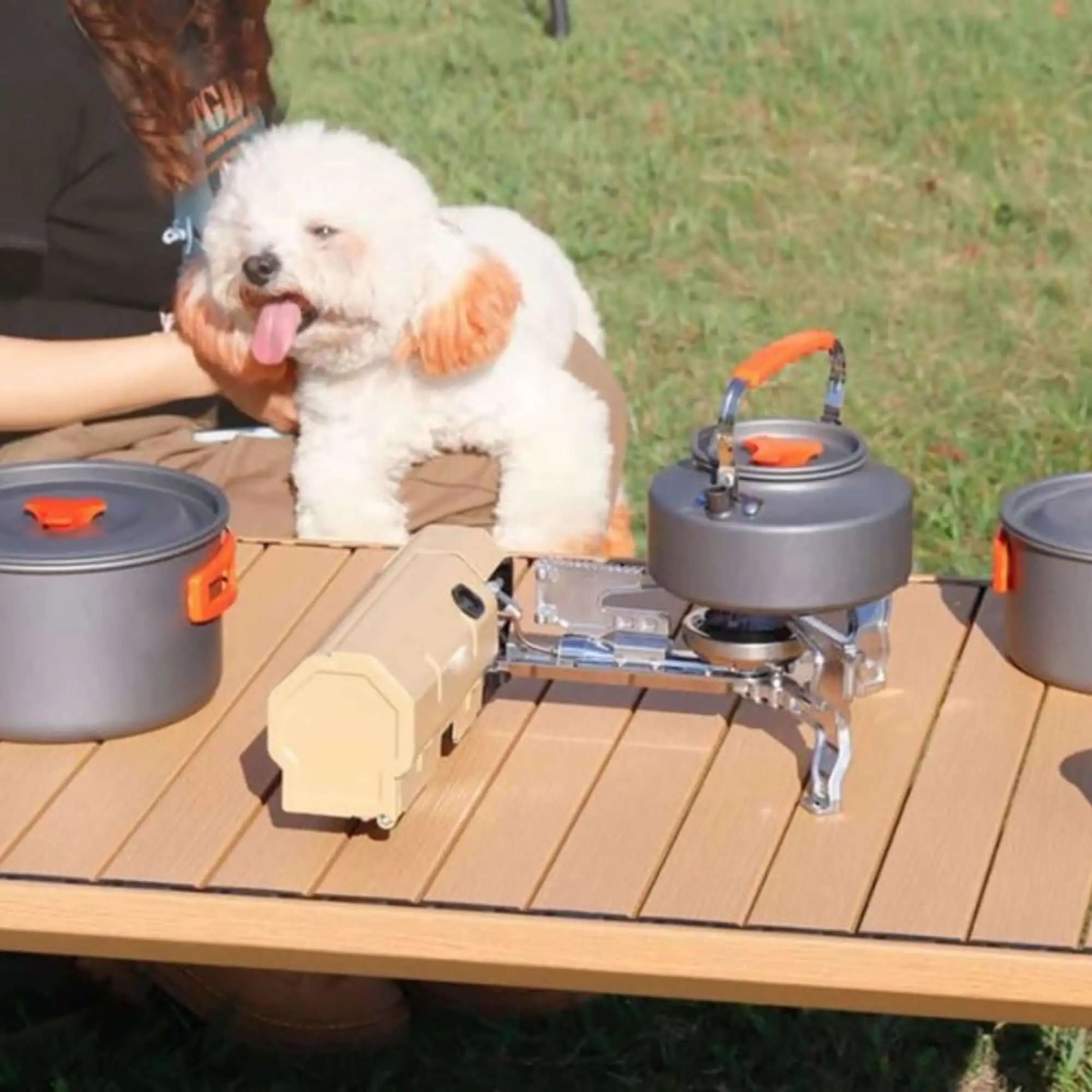 Réchaud de camping pliable sur une table en bois, avec casseroles et un chien à l'arrière-plan, idéal pour la cuisine nomade en extérieur.
